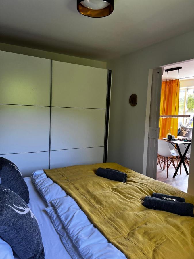 Bavaria Mountain Lodge Ski Arber Osser Bayrischer Wald Designer Ferienwohnung Lohberg Luaran gambar